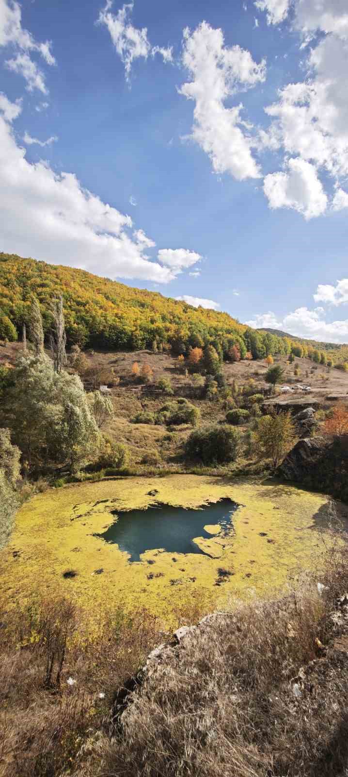 Timsah g&ouml;z&uuml; hazan g&uuml;zelliğiyle b&uuml;y&uuml;l&uuml;yor
