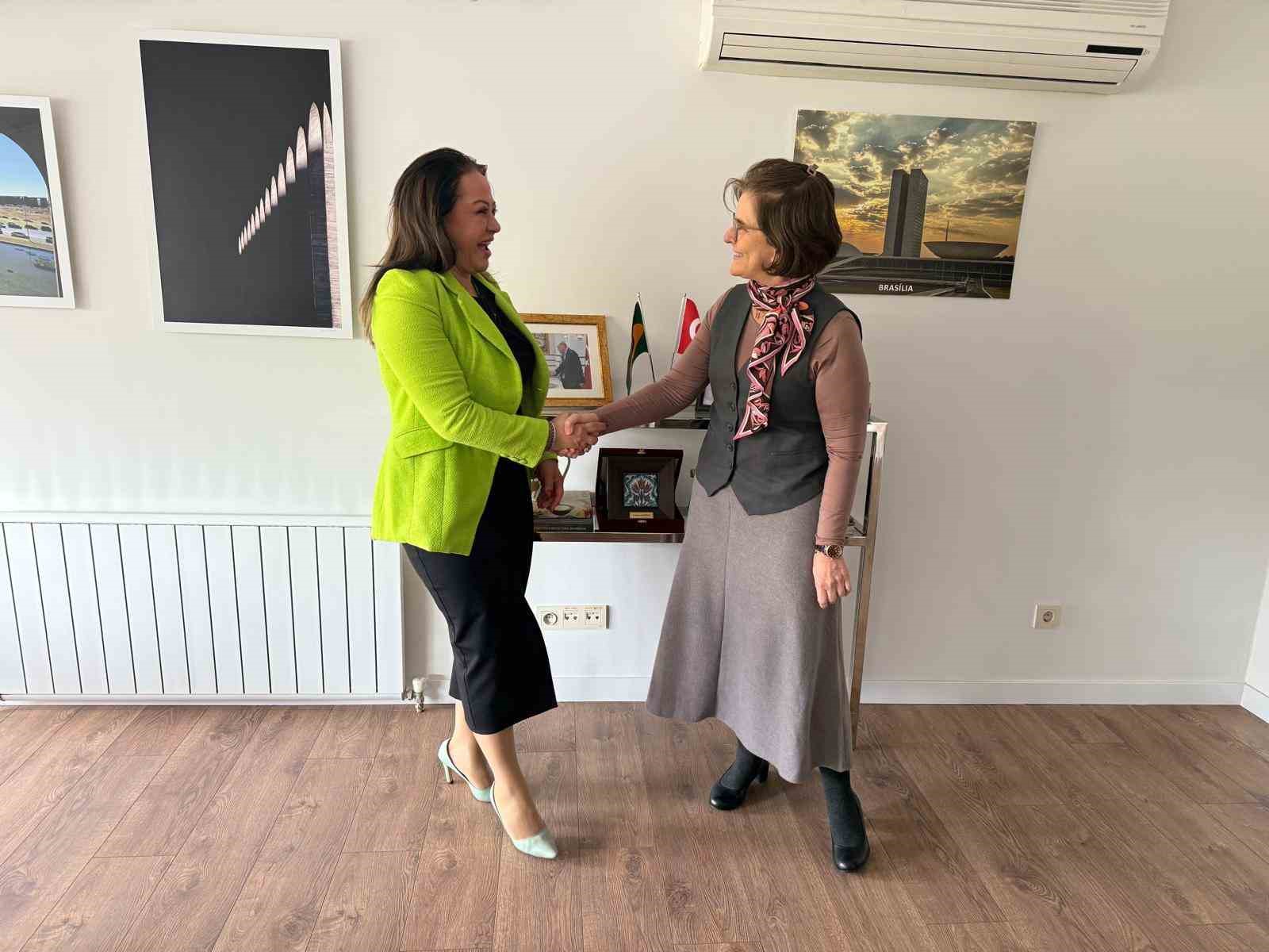 SATKOF&rsquo;tan Brezilya B&uuml;y&uuml;kel&ccedil;iliği ile sağlık diplomasisinde s&uuml;rd&uuml;r&uuml;lebilir iş birliği adımları
