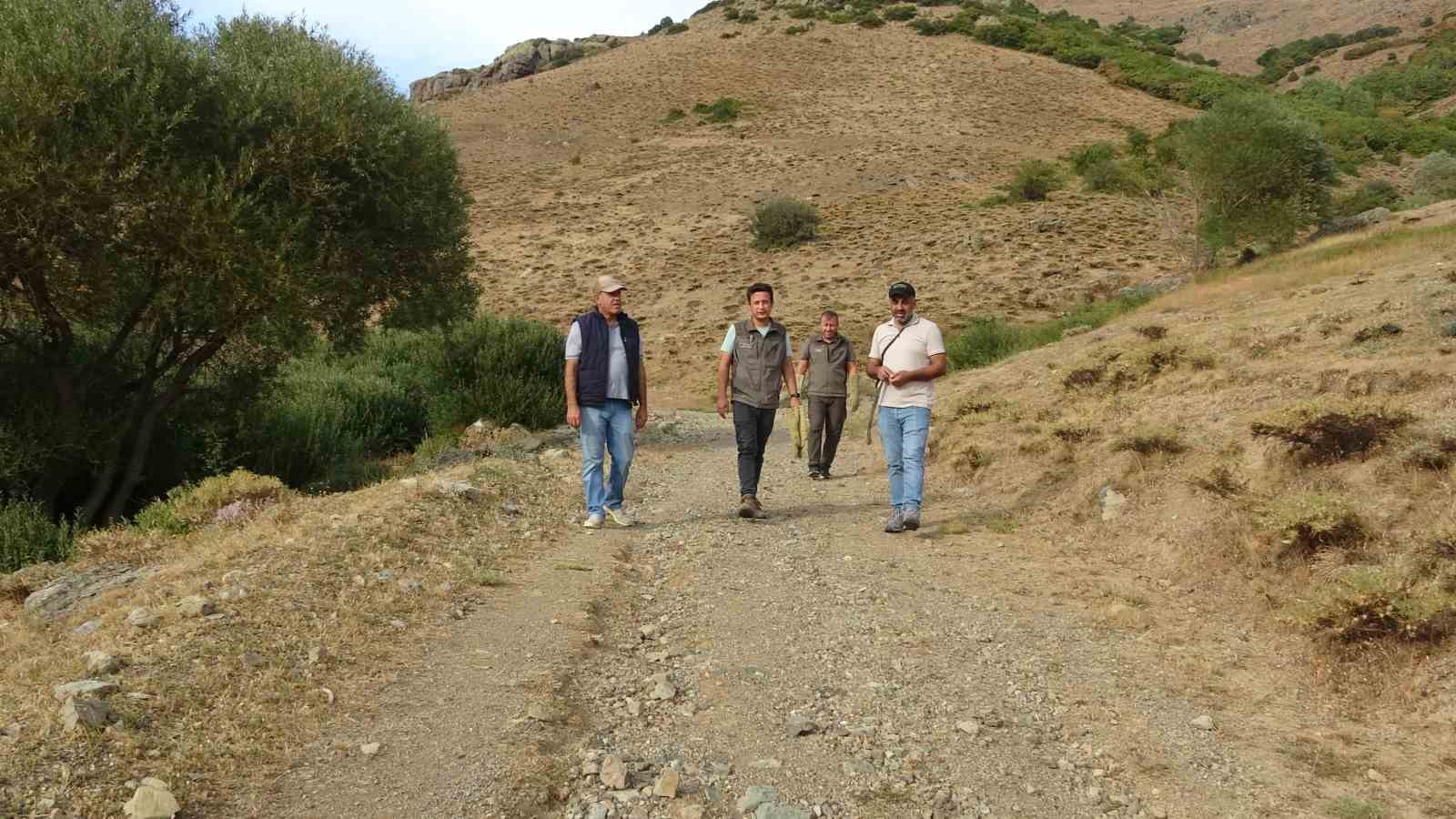 Bayburt&rsquo;ta annesini kaybeden yavru ayı k&ouml;y&uuml; alarma ge&ccedil;irdi
