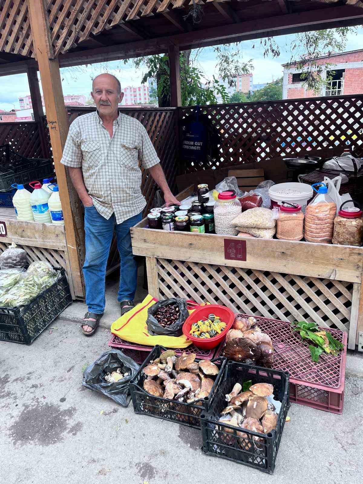 Türkeli’de kestane ve fesleğen mantarı tezgahlarda