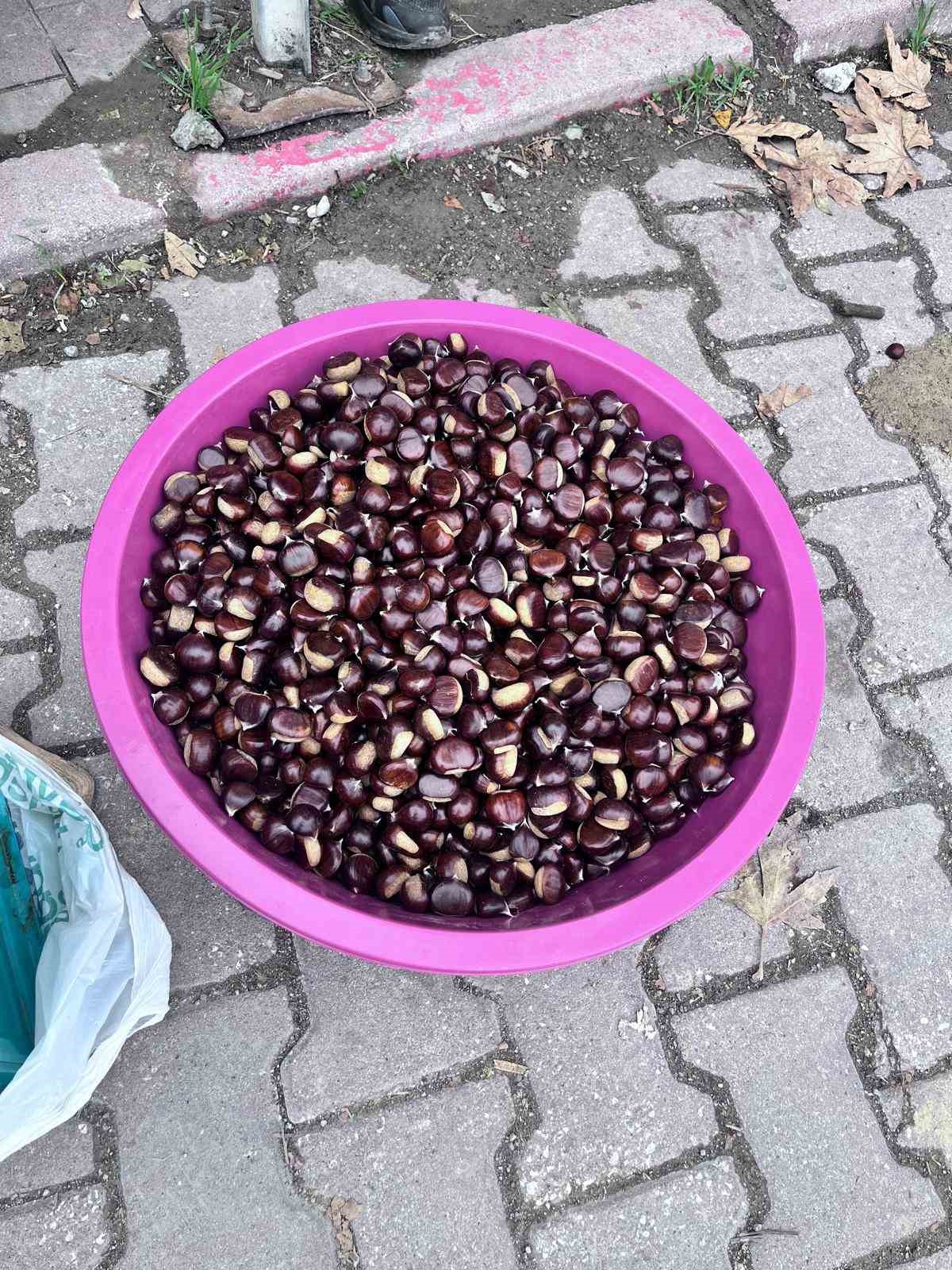 Türkeli’de kestane ve fesleğen mantarı tezgahlarda