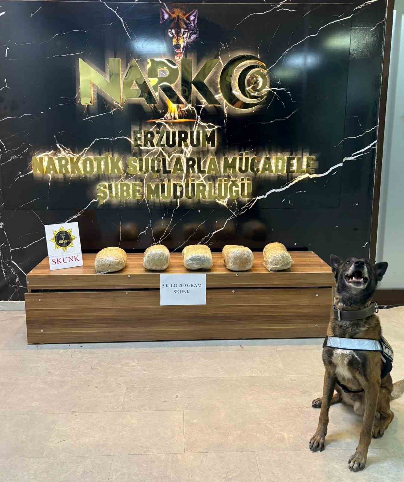 Erzurum’da 5 kilo 200 gram skunk maddesi ele geçirildi