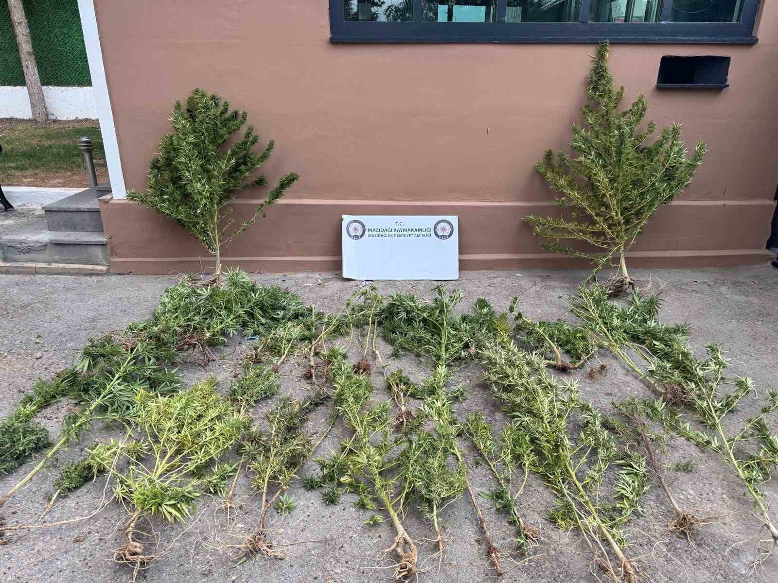 Mardin’de uyuşturucu operasyonu: 3 gözaltı