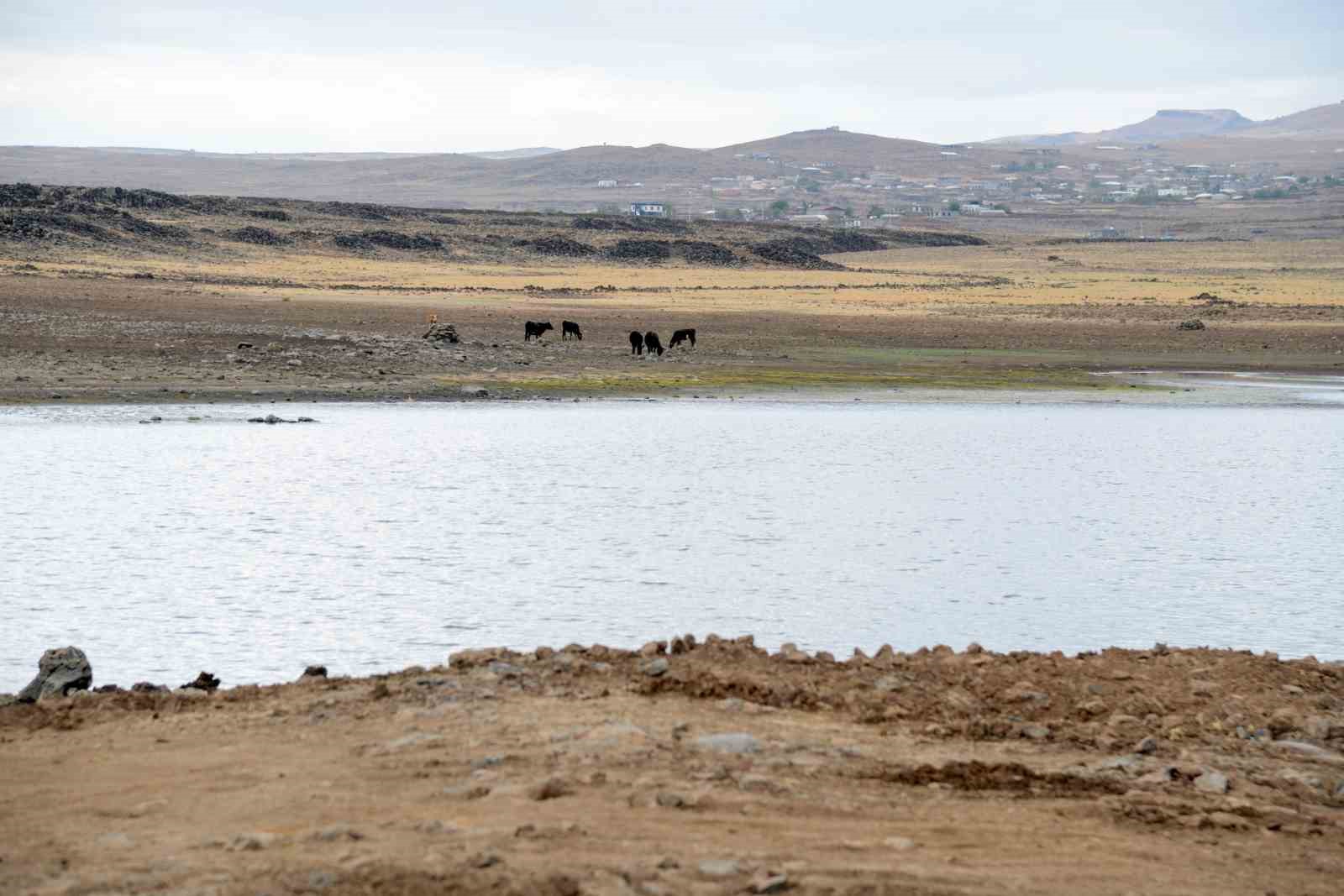 Diyarbakır’da hayvanların su ihtiyacını karşılayan 18 gölet onarıldı
