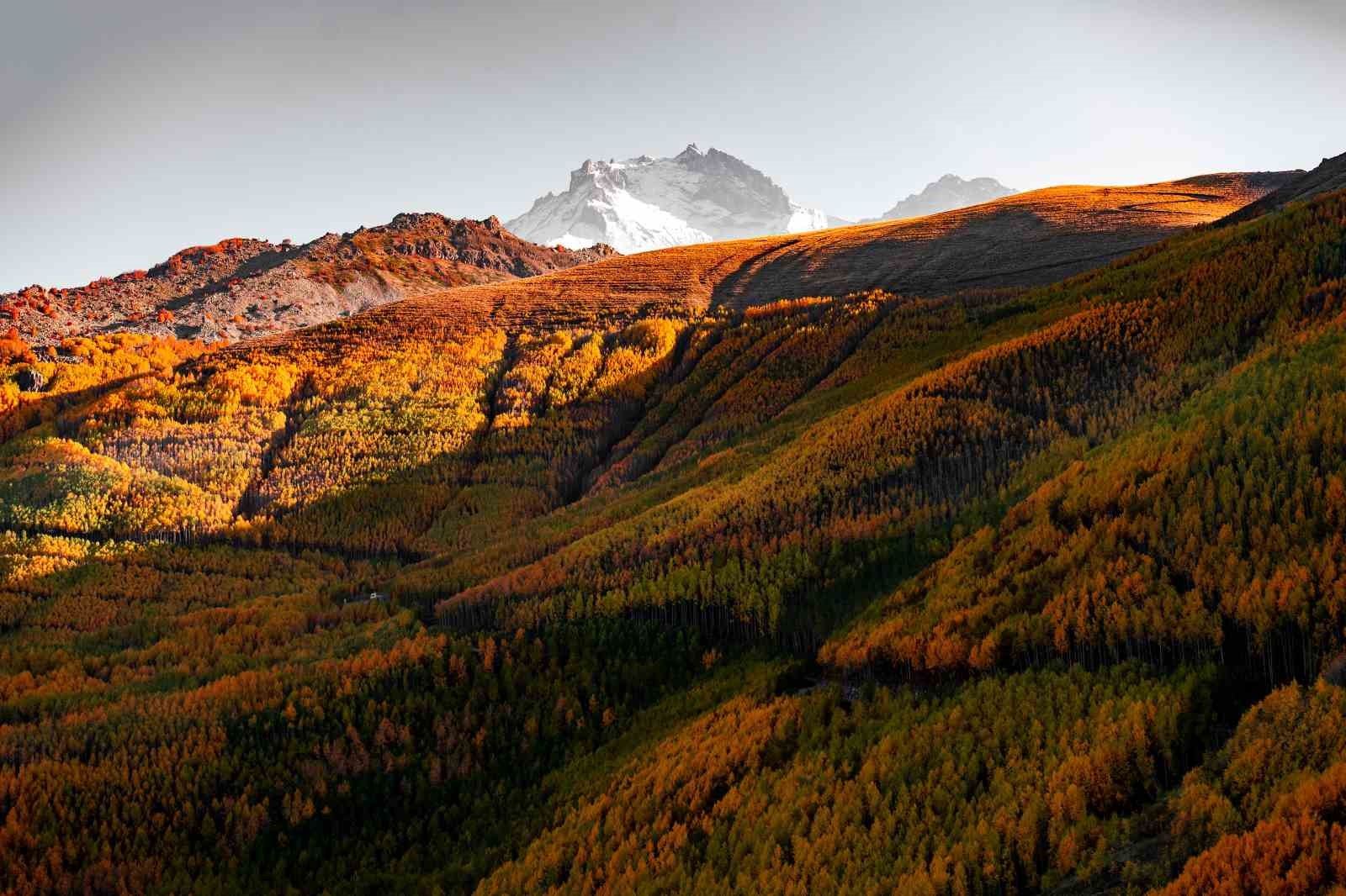 Doğaseverlerin Kayseri&rsquo;deki saklı hazinesi: Ortaseki Ormanları

