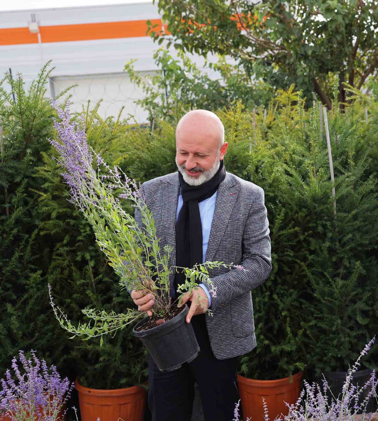 Başkan Çolakbayrakdar: Kocasinan’ı yeşille donatıyoruz"