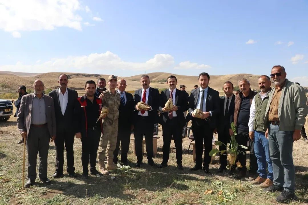 Tutak&rsquo;ta şeker pancarı hasadı başladı