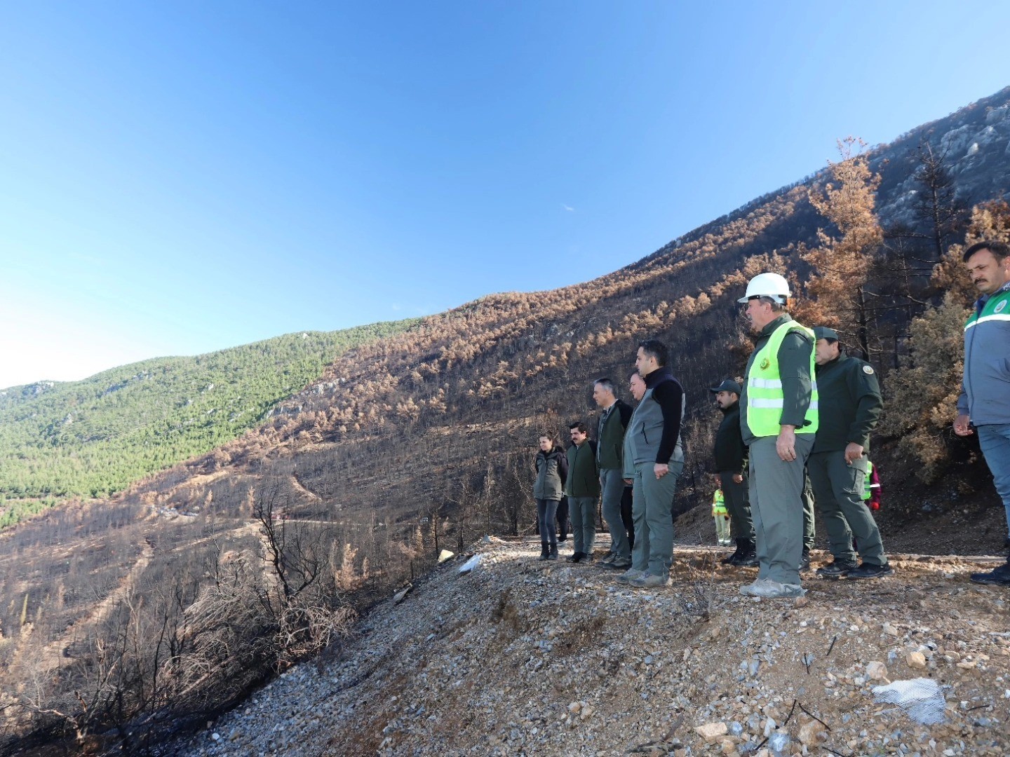 Honaz Dağı Milli Parkında yanan alanlar yeşillendiriliyor
