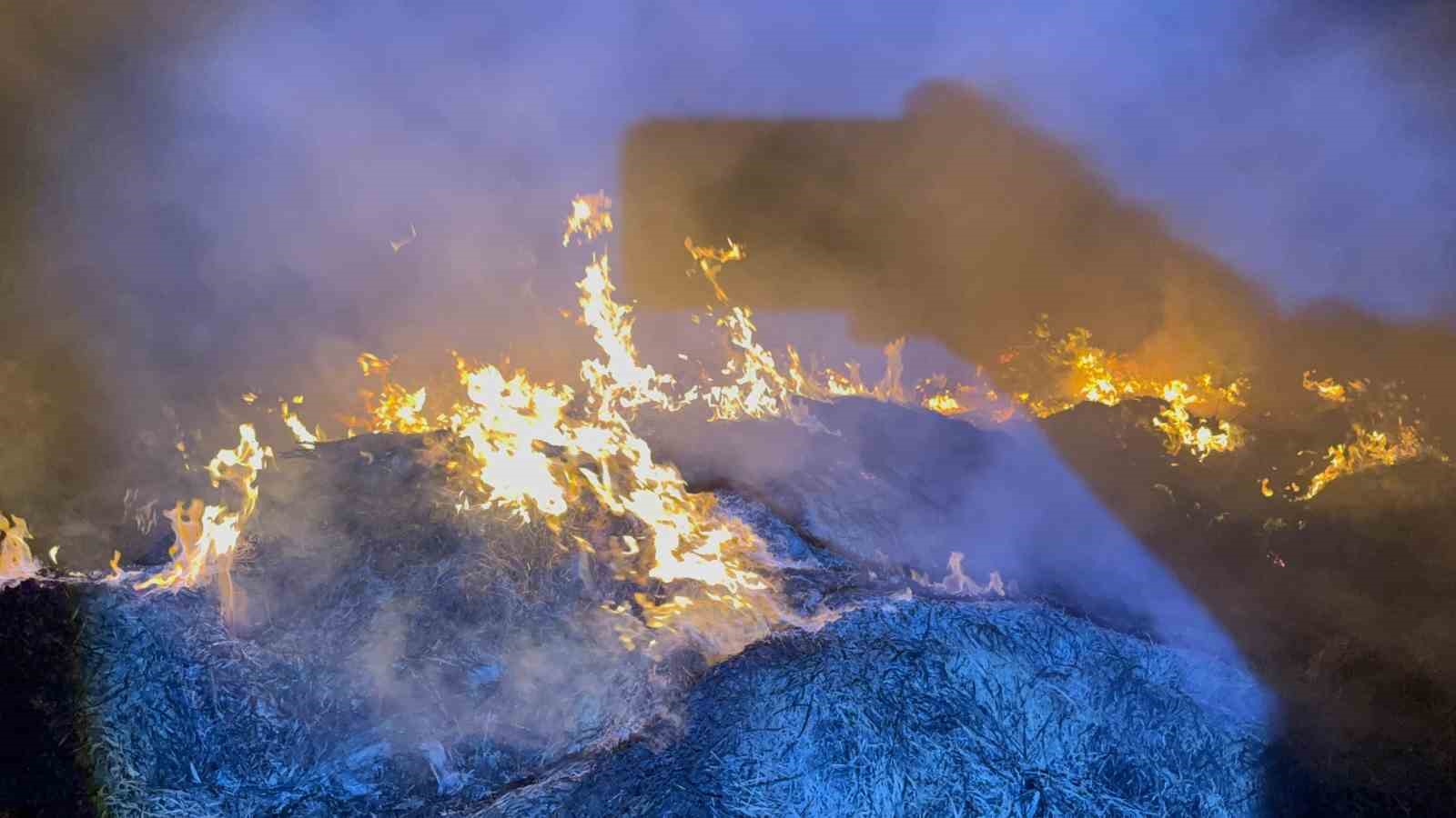 Eber Gölü’nden toplanan kamışların depolandığı alanda yangın