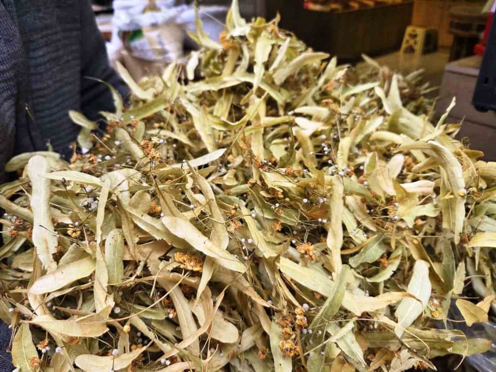 Şifa deposu ıhlamura ilgi arttı

