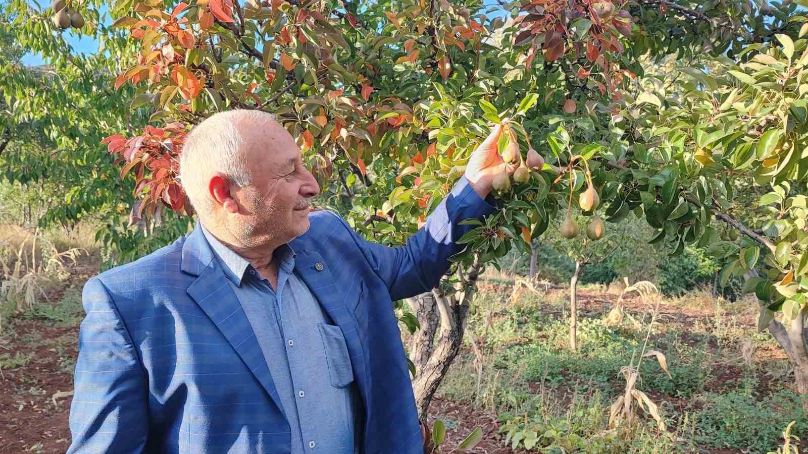 60 yaşındaki çiftçi: "İlk kez böyle bir şey görüyorum"
