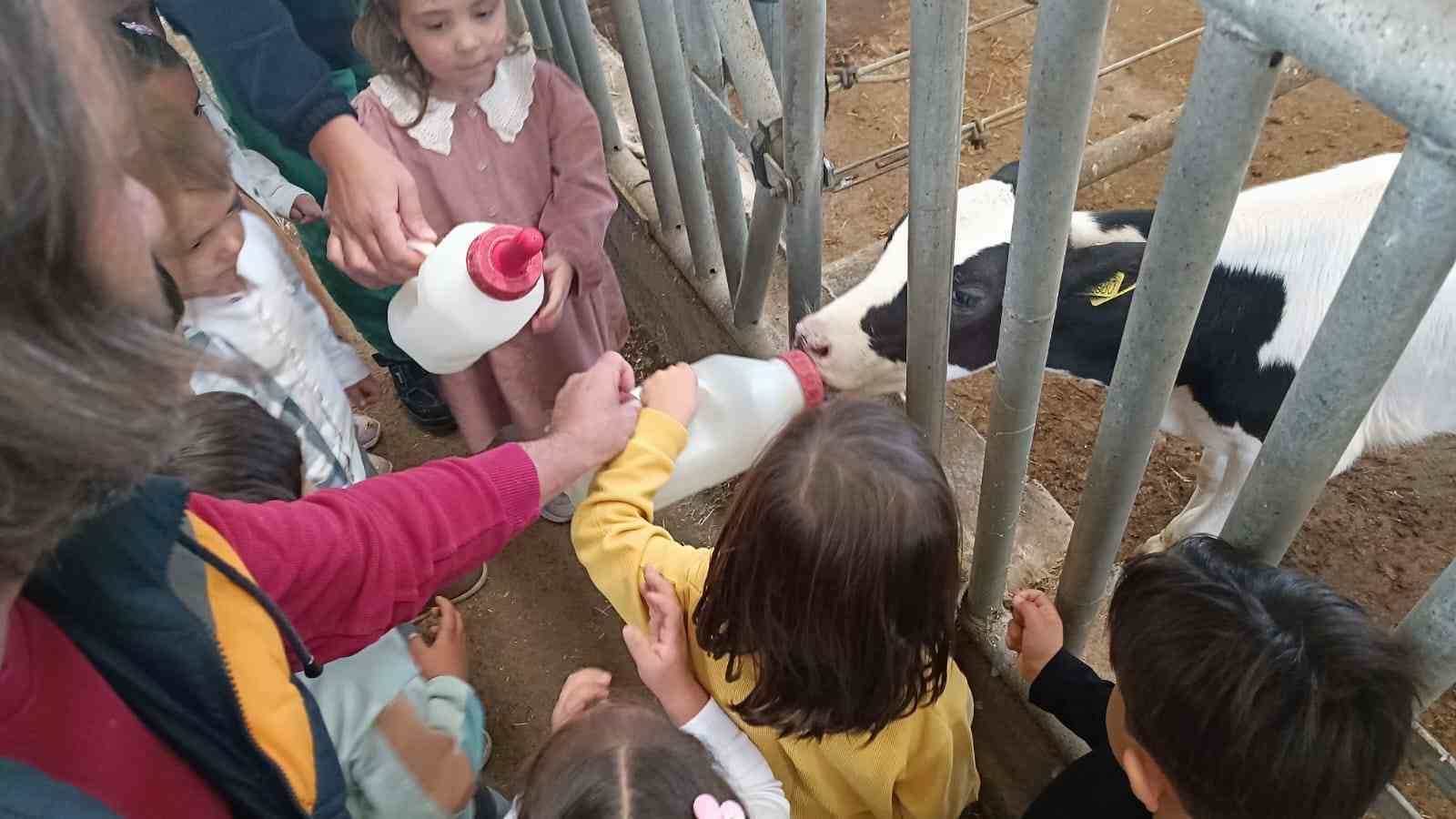 Minik &ouml;ğrenciler D&uuml;nya Yumurta G&uuml;n&uuml;&rsquo;nde sağlıklı beslenmeyi &ouml;ğrendi
