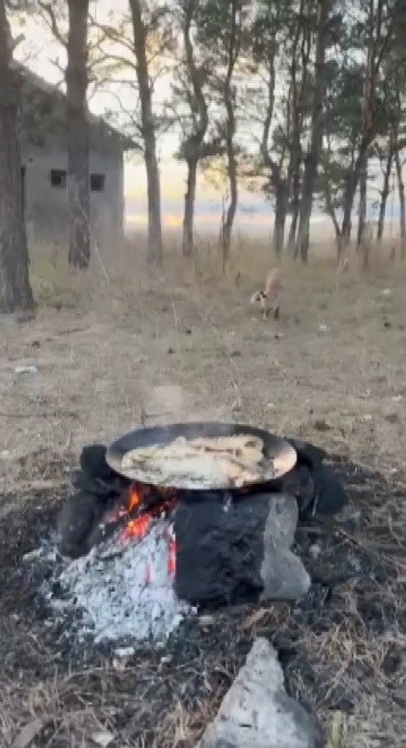 Kars&rsquo;ta tilkiler yerleşim yerlerinde cirit atıyor
