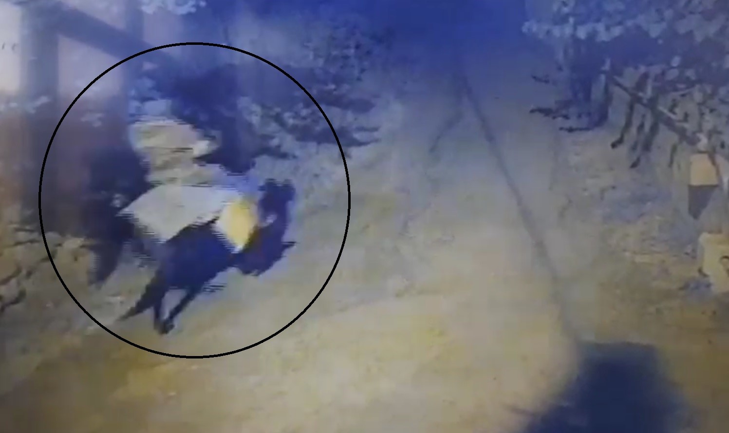 Atla geldi, yaşlı çifti öldürüp kaçtı