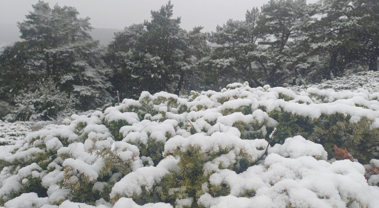 Tokat yükseklerinde kar, kent merkezinde yağmur etkili oldu