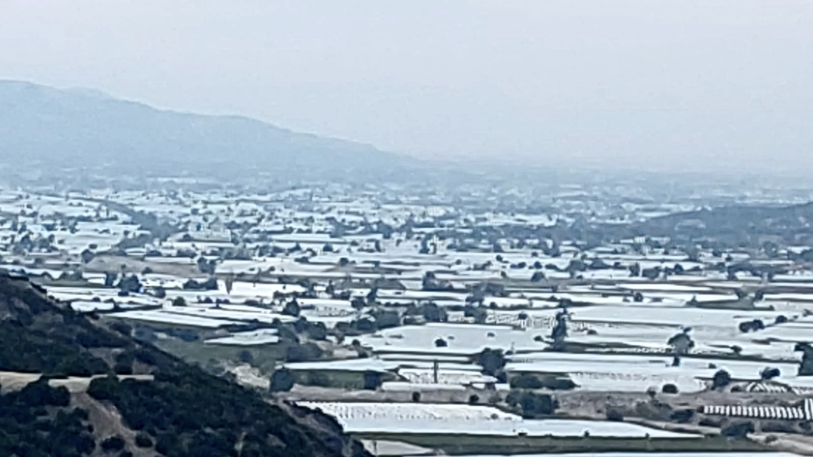 Sarıg&ouml;l&rsquo;de &uuml;z&uuml;m &uuml;retici ihracatın hız kazanmasını bekliyor
