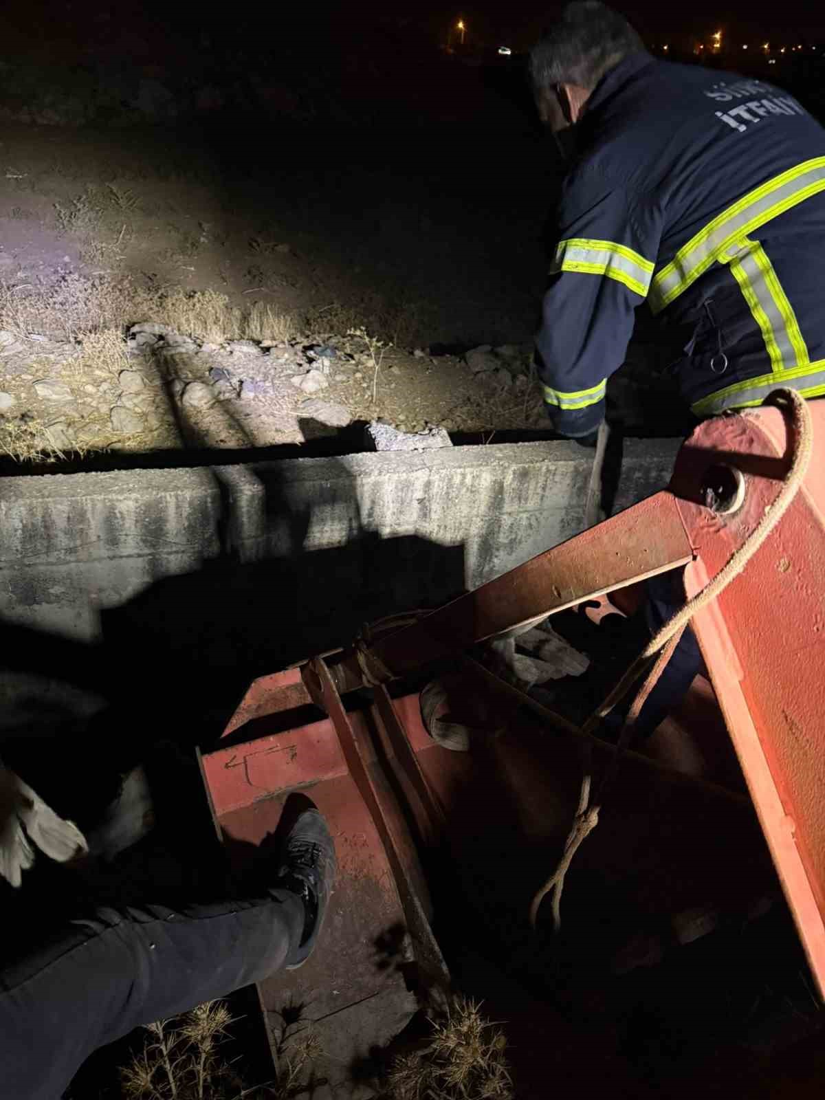 Siirt&rsquo;te kanala d&uuml;şen inek kurtarıldı
