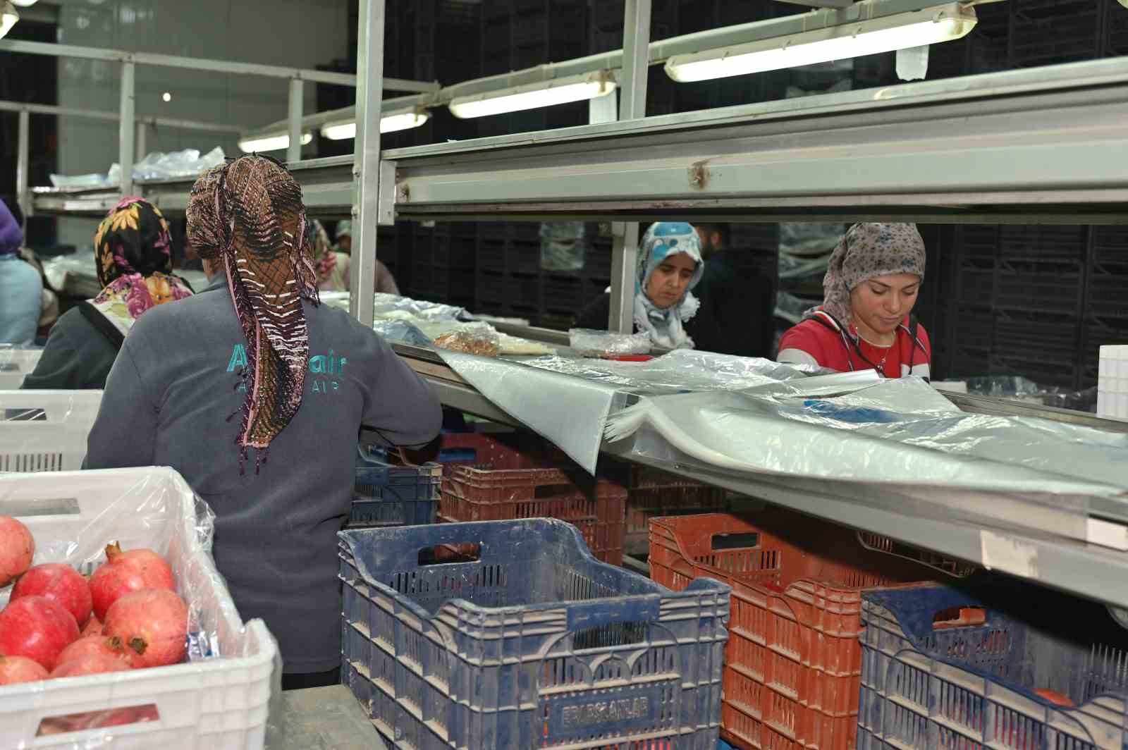 Denizli narı İsrail narının &ouml;n&uuml;ne ge&ccedil;ti
