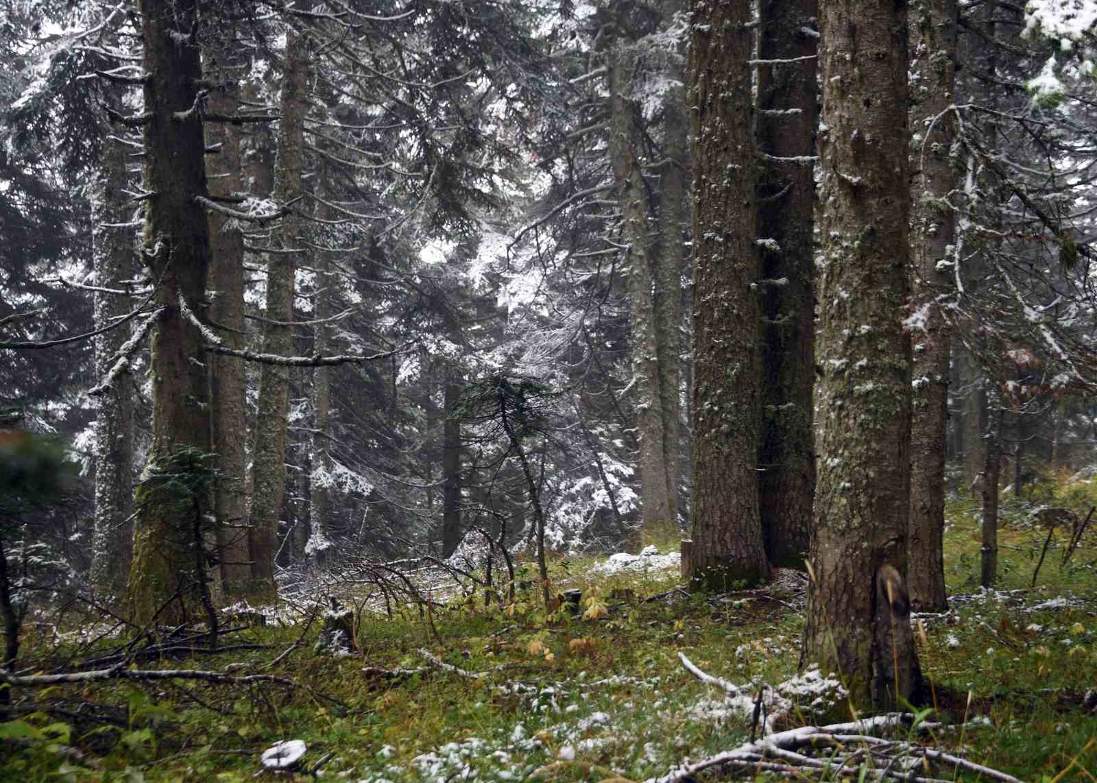 Ilgaz Dağı’nda kar yağışı etkili oldu: Ortaya mest eden görüntüler çıktı