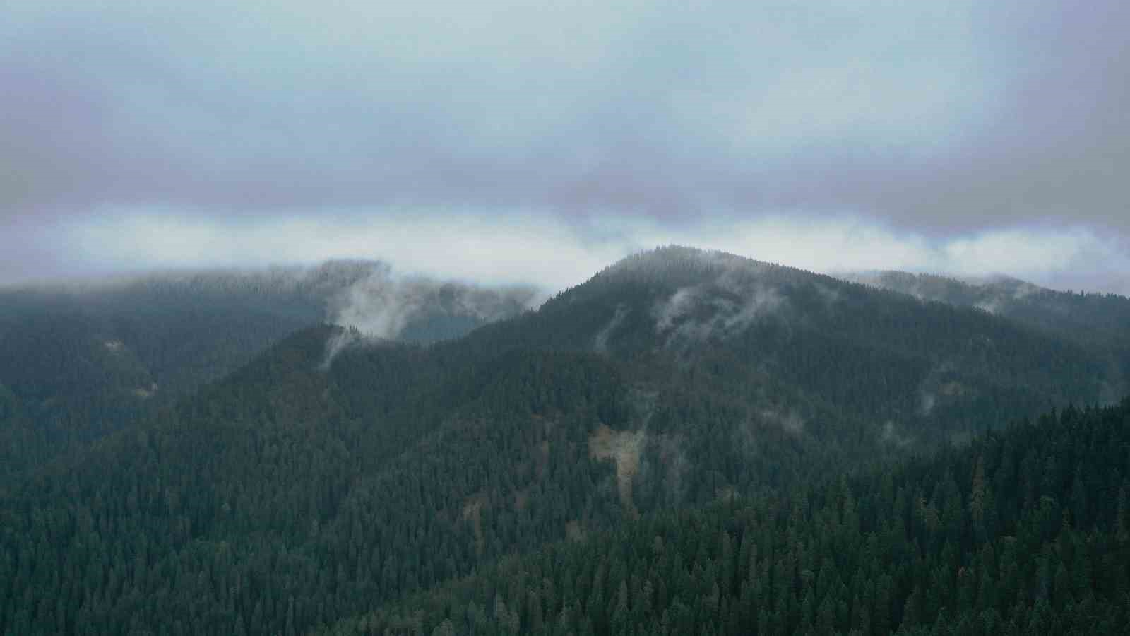 Ilgaz Dağı’nda kar yağışı etkili oldu: Ortaya mest eden görüntüler çıktı
