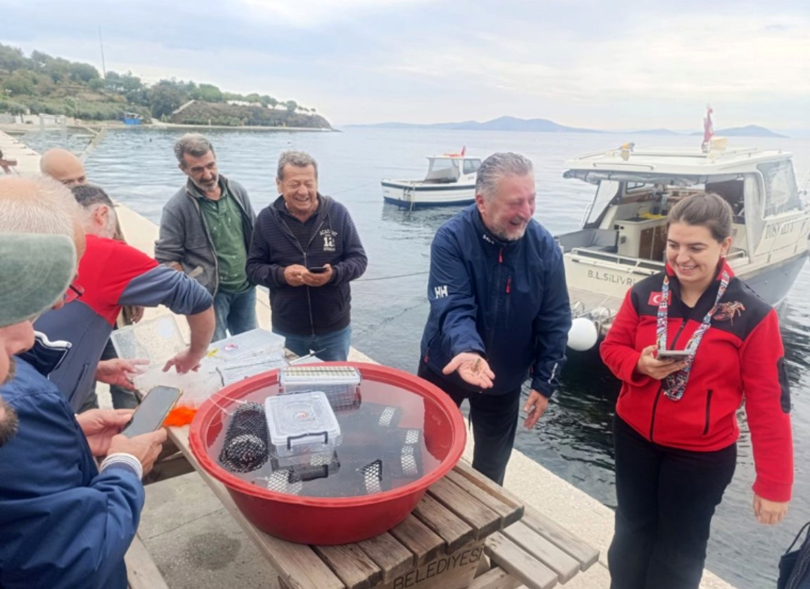 Marmara’da 400 ıstakoz yavrusu yapay resiflere bırakıldı