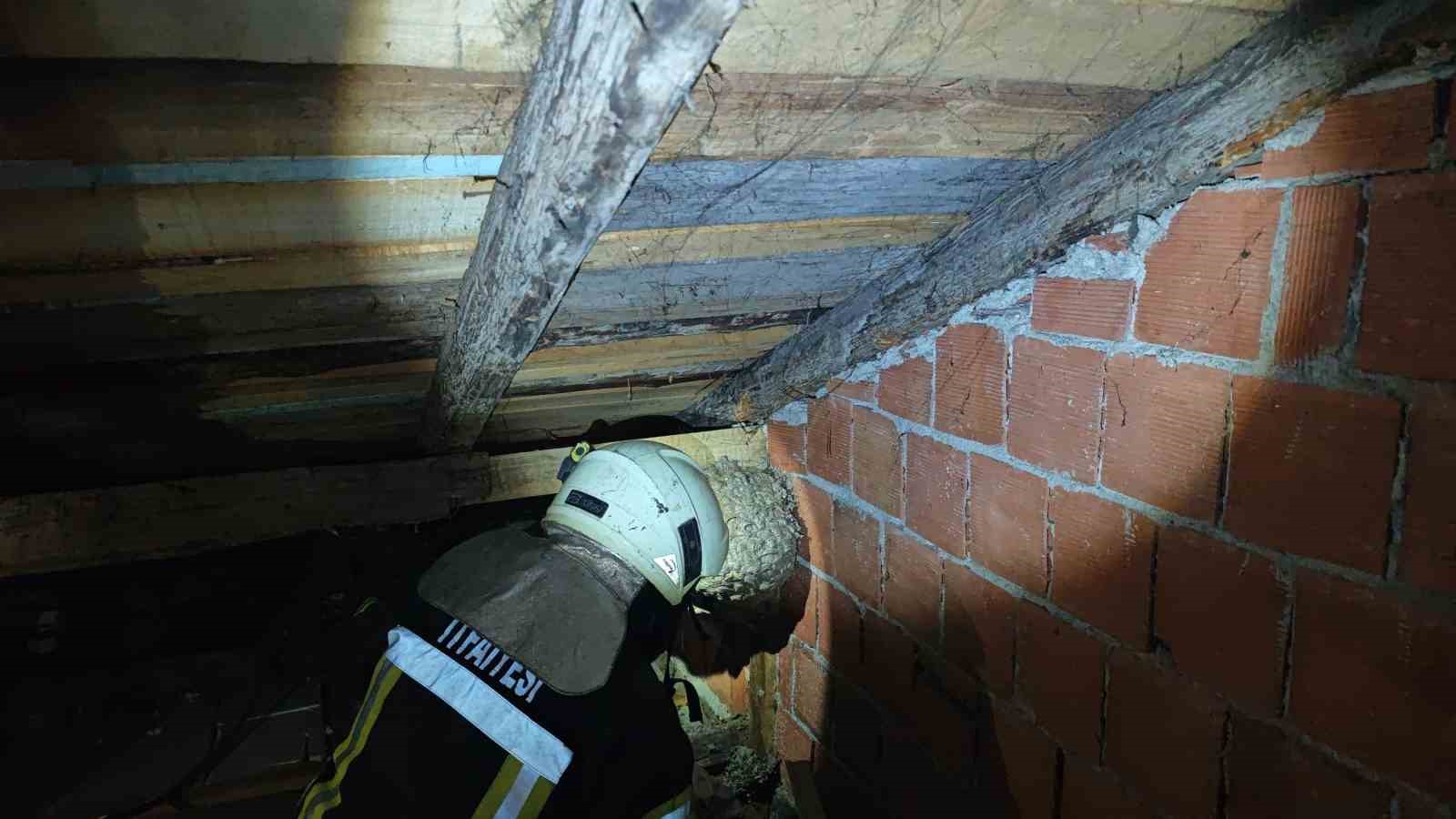 Safranbolu’da evin çatısında yaban arısı paniği