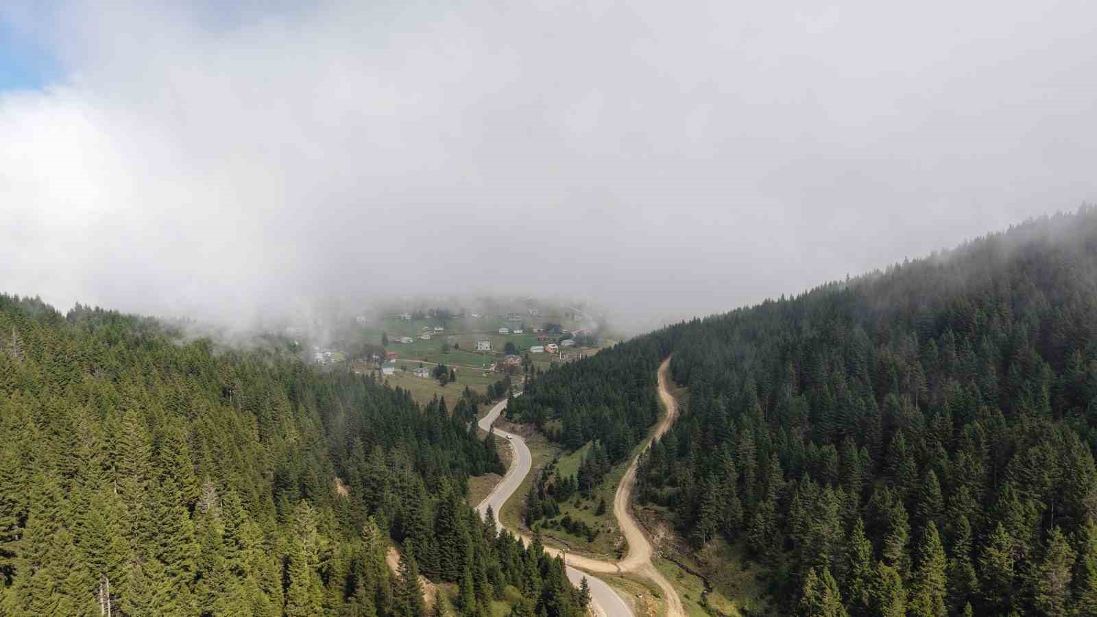 Doğu Karadeniz Bölgesinde heyelan alarmı