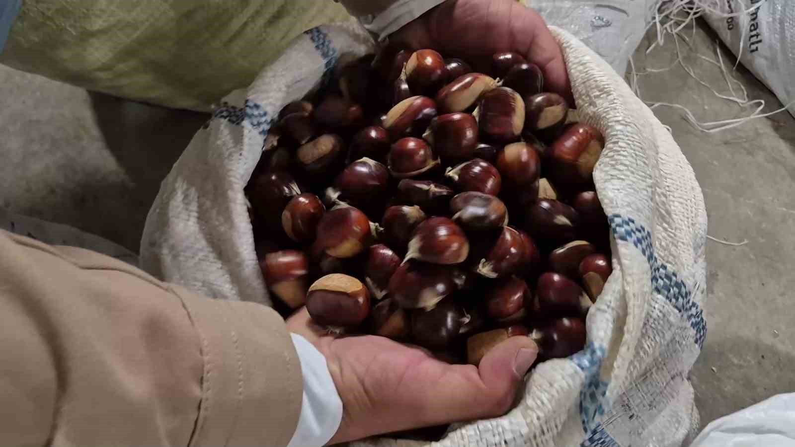 Kuzu kestane sıkı pazarlıklarla alıcı buluyor
