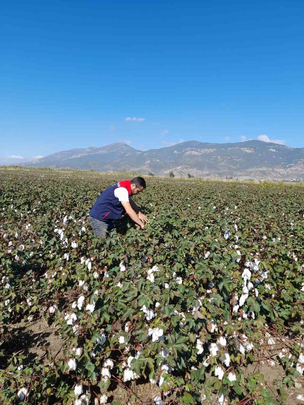 Söke’de 2025 yılı destekleme ürün çalışmaları yapıldı