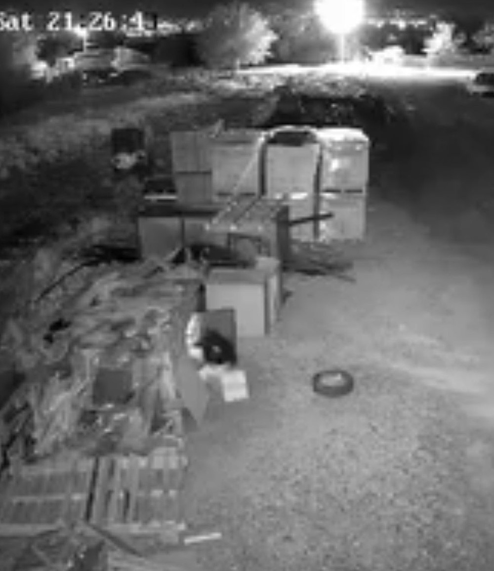 Elazığ’da güvercin hırsızlığı kameralara yansıdı