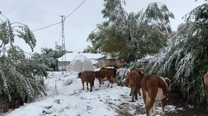 Bingöl’ün yüksek kesimlerine mevsimin ilk karı yağdı