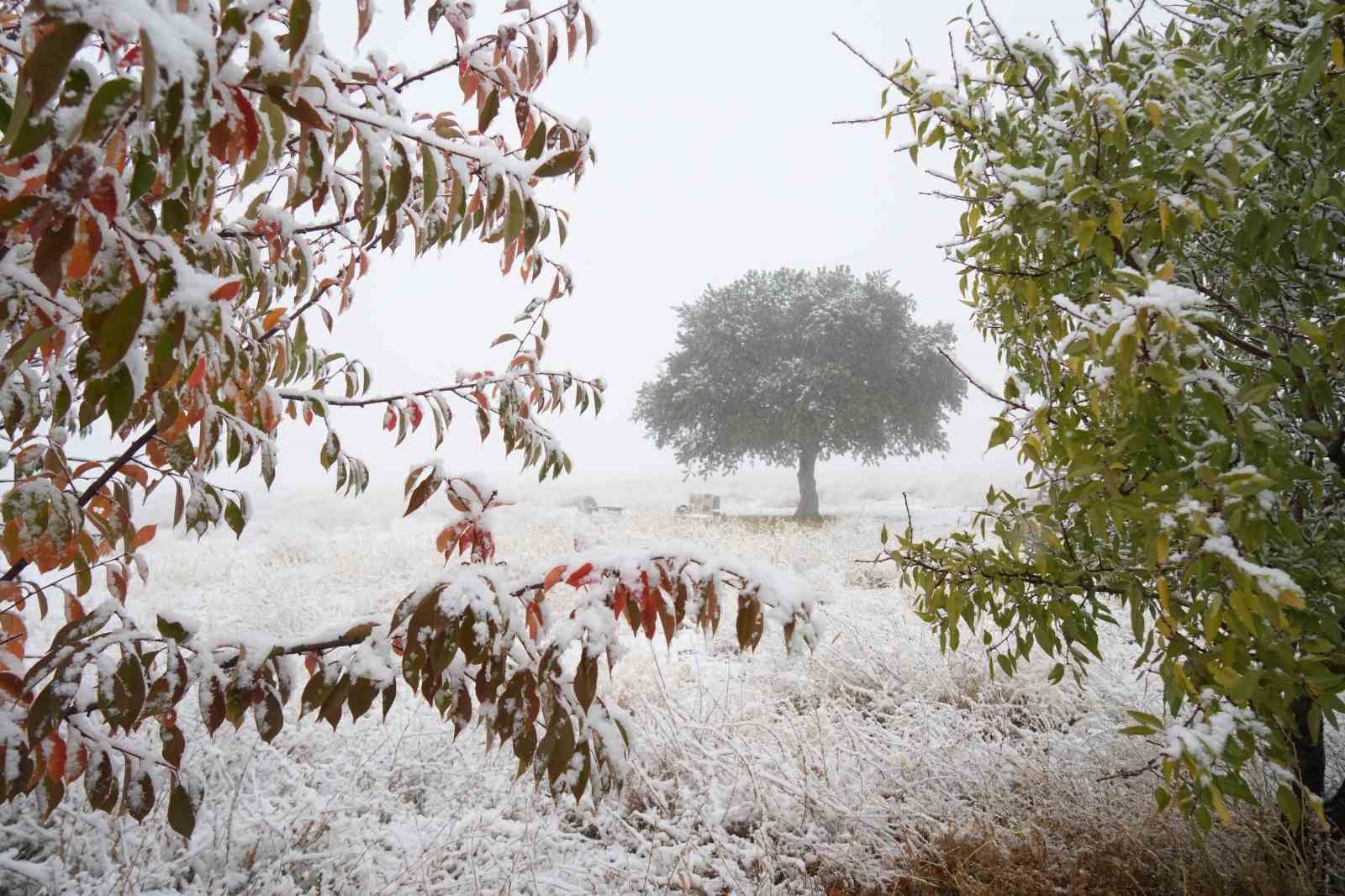 Niğde&rsquo;nin y&uuml;ksek kesimlerine mevsimin ilk karı yağdı
