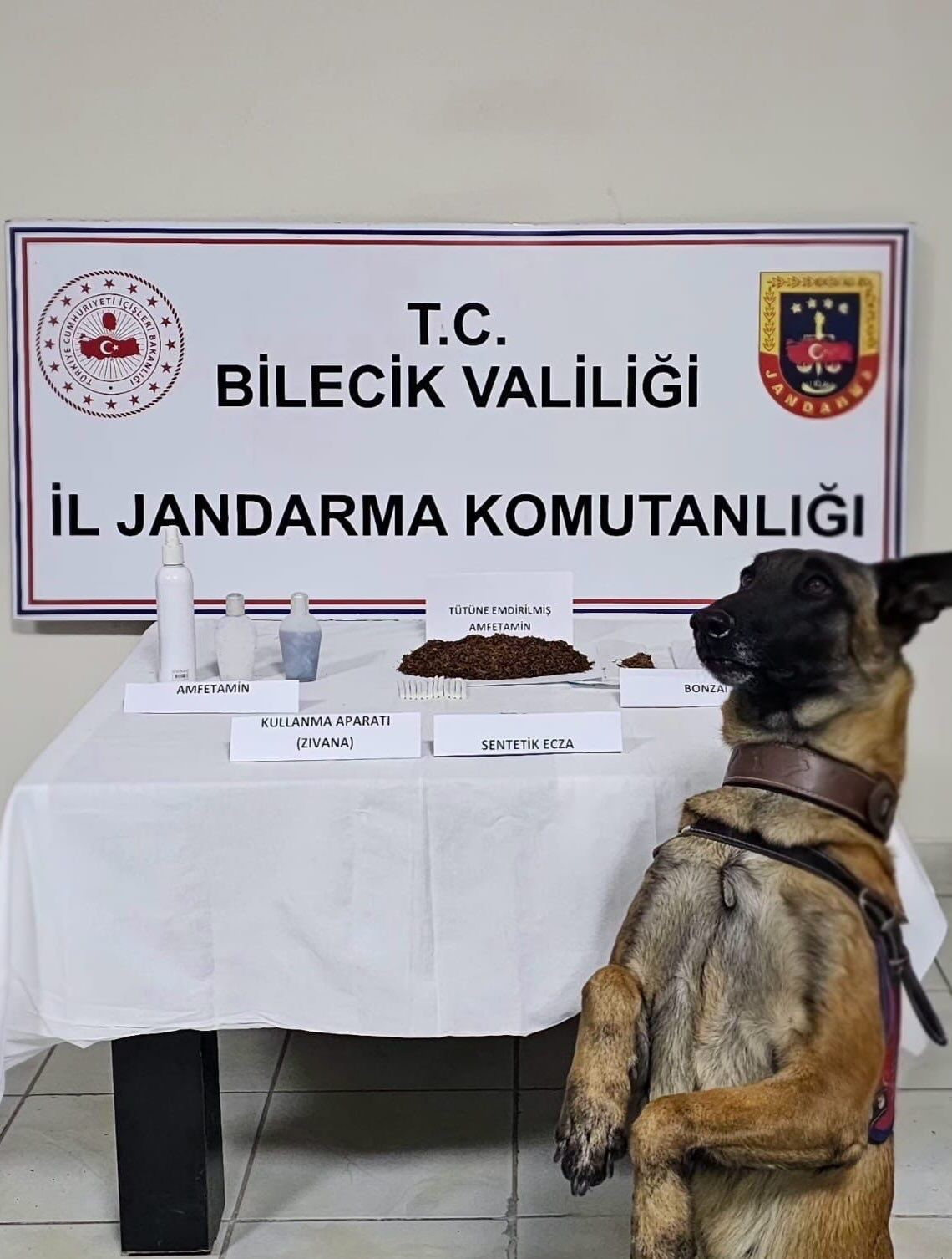 Bilecik&rsquo;te uyuşturucu operasyonu: 1 tutuklama
