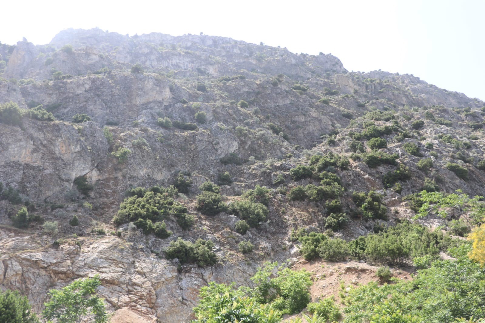 Doğa gezisine çıktı, ’En tepeye çıktım, mükemmel bir manzara var’ dedikten sonra haber alınamadı