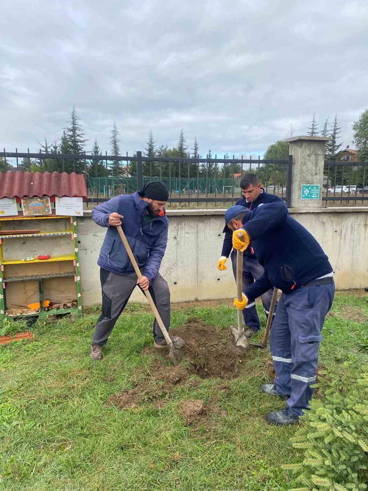 Orman yangınları sonrası yola çıktı, 71. fidanını Bolu’da dikti