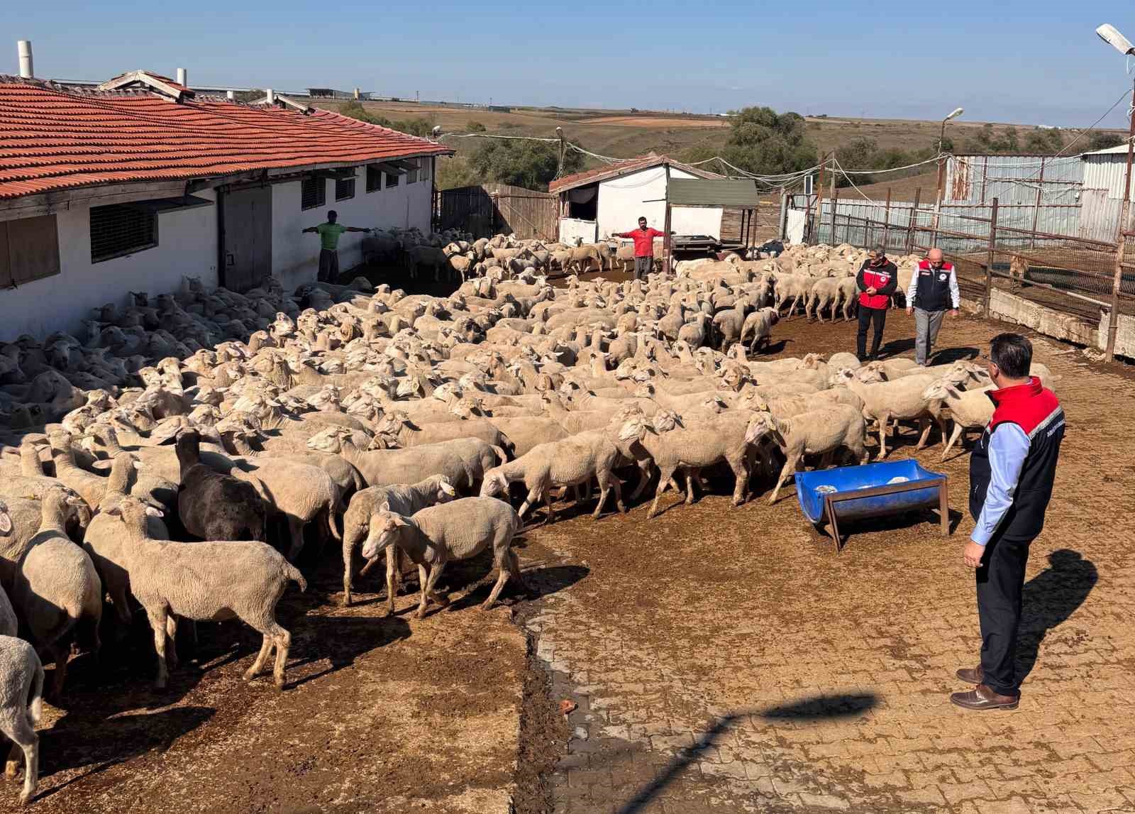 Tarım İl Müdürü Aksoy üreticinin sorunlarını yerinde dinledi