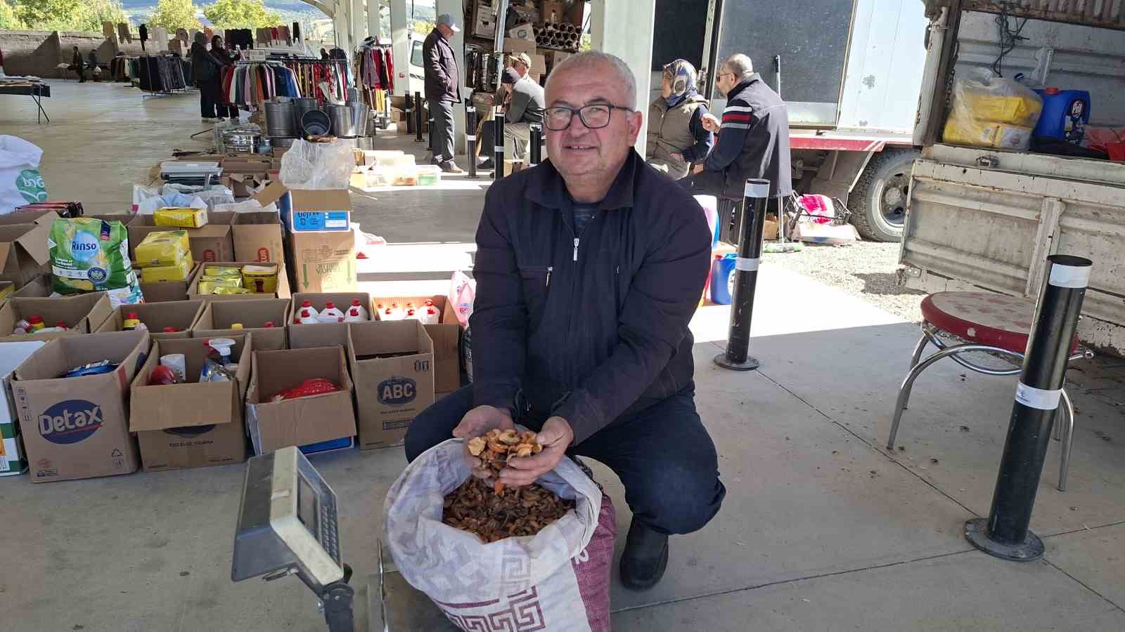 Elma kurusu, üreticisini sevindirdi