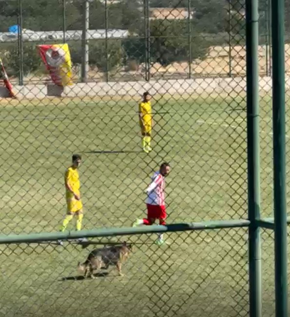 Isparta’da amatör maçta sahaya köpek girince oyun durdu
