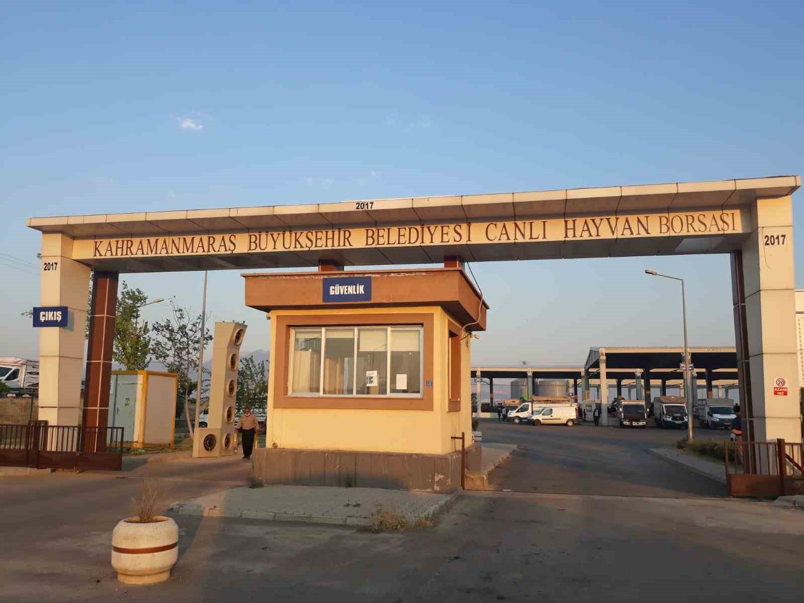 Kahramanmaraş canlı hayvan pazarı a&ccedil;ıldı
