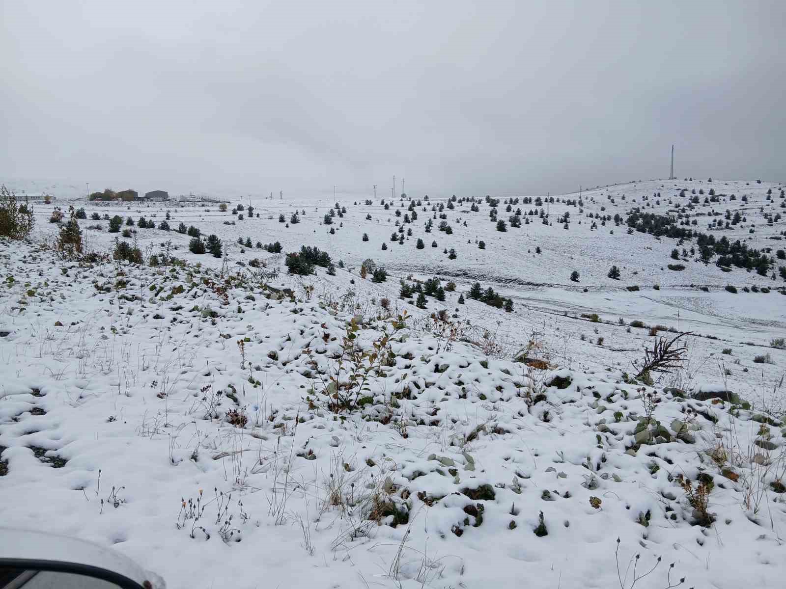 Posof’ta kar yağışı etkili oldu