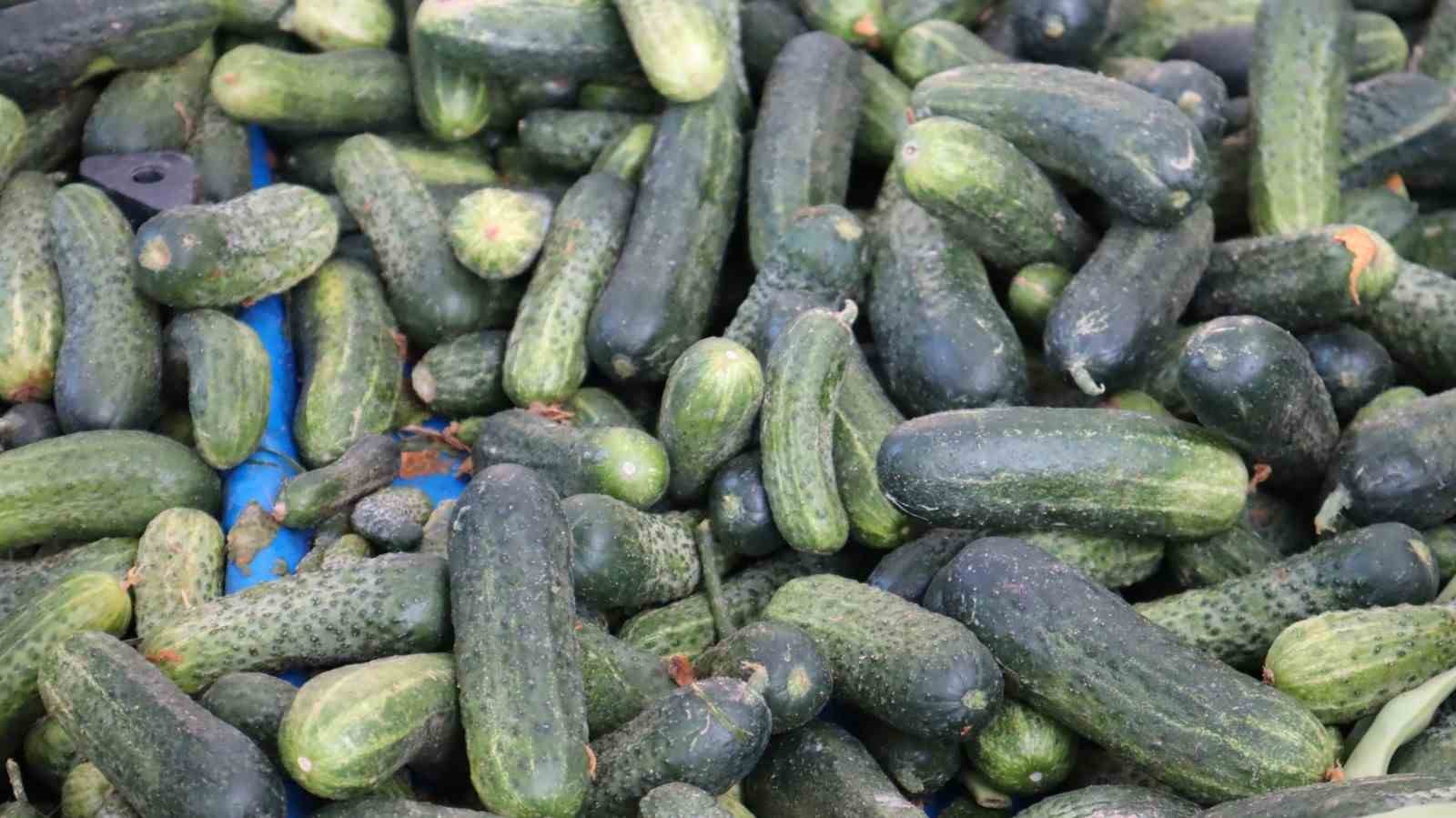 Vatandaş pahalı bulsa da almaktan vazgeçemiyor