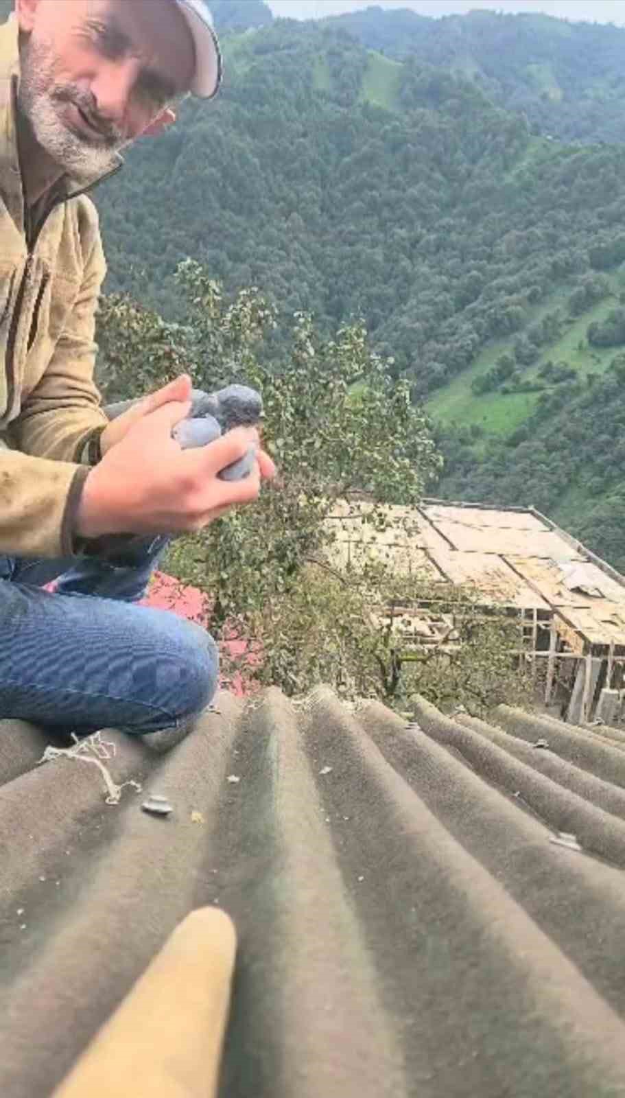 Köy sakininin dikkati ve duyarlılığı bir güvercini hayata bağladı