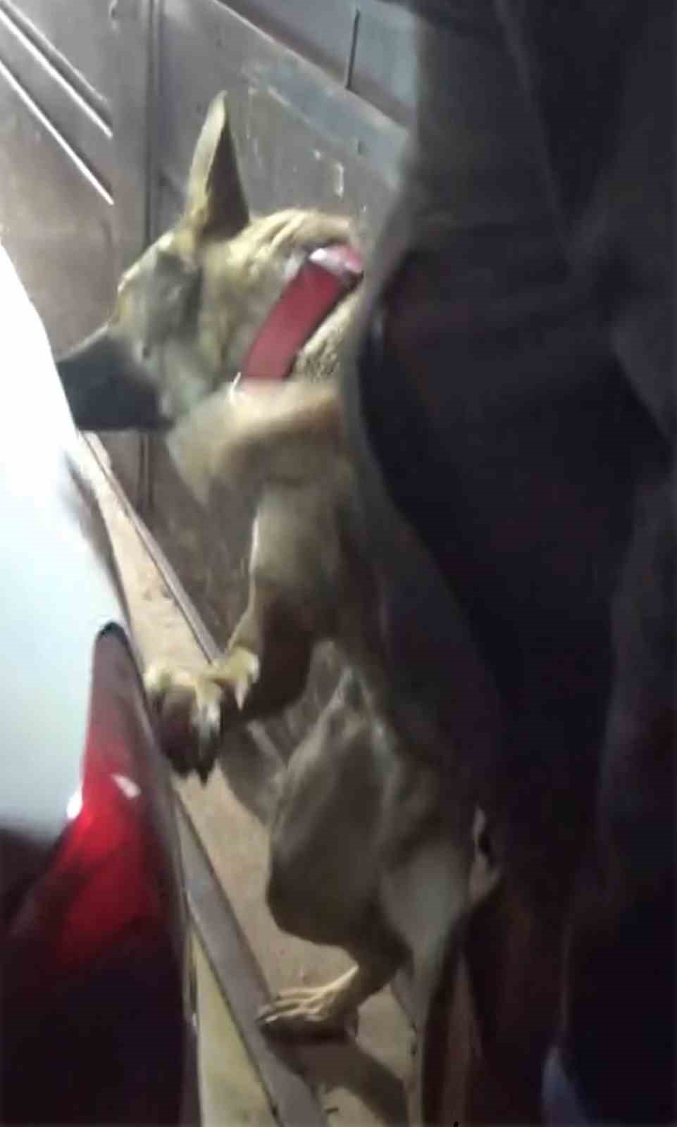 Uluslararası uyuşturucu ağı çökertildi