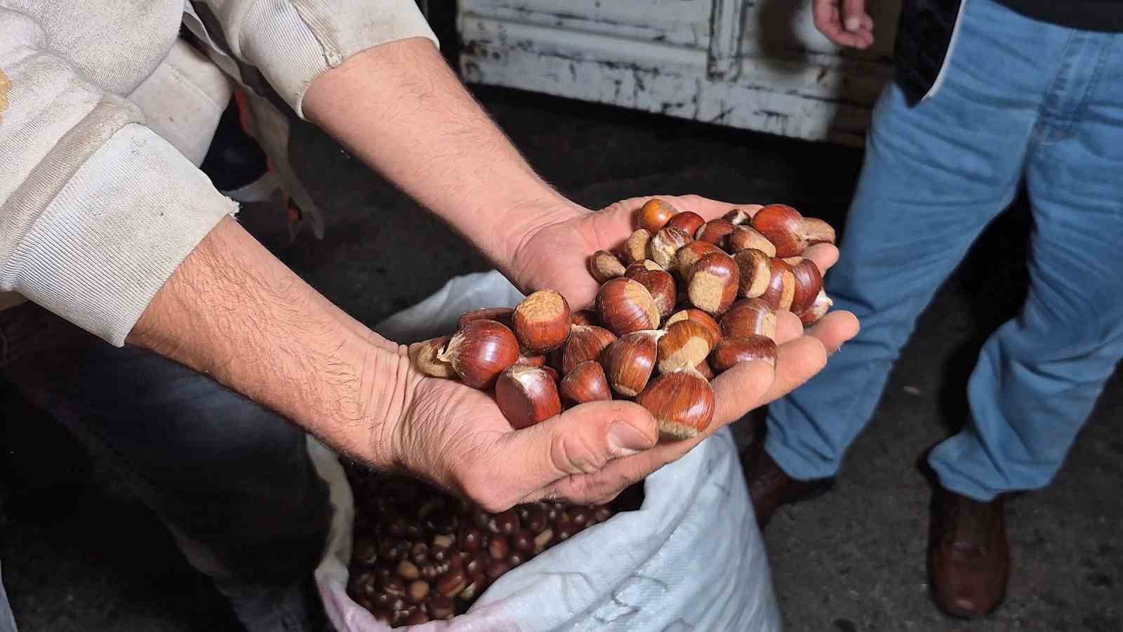 Kestane rekoltesi kuraklık sebebiyle düştü