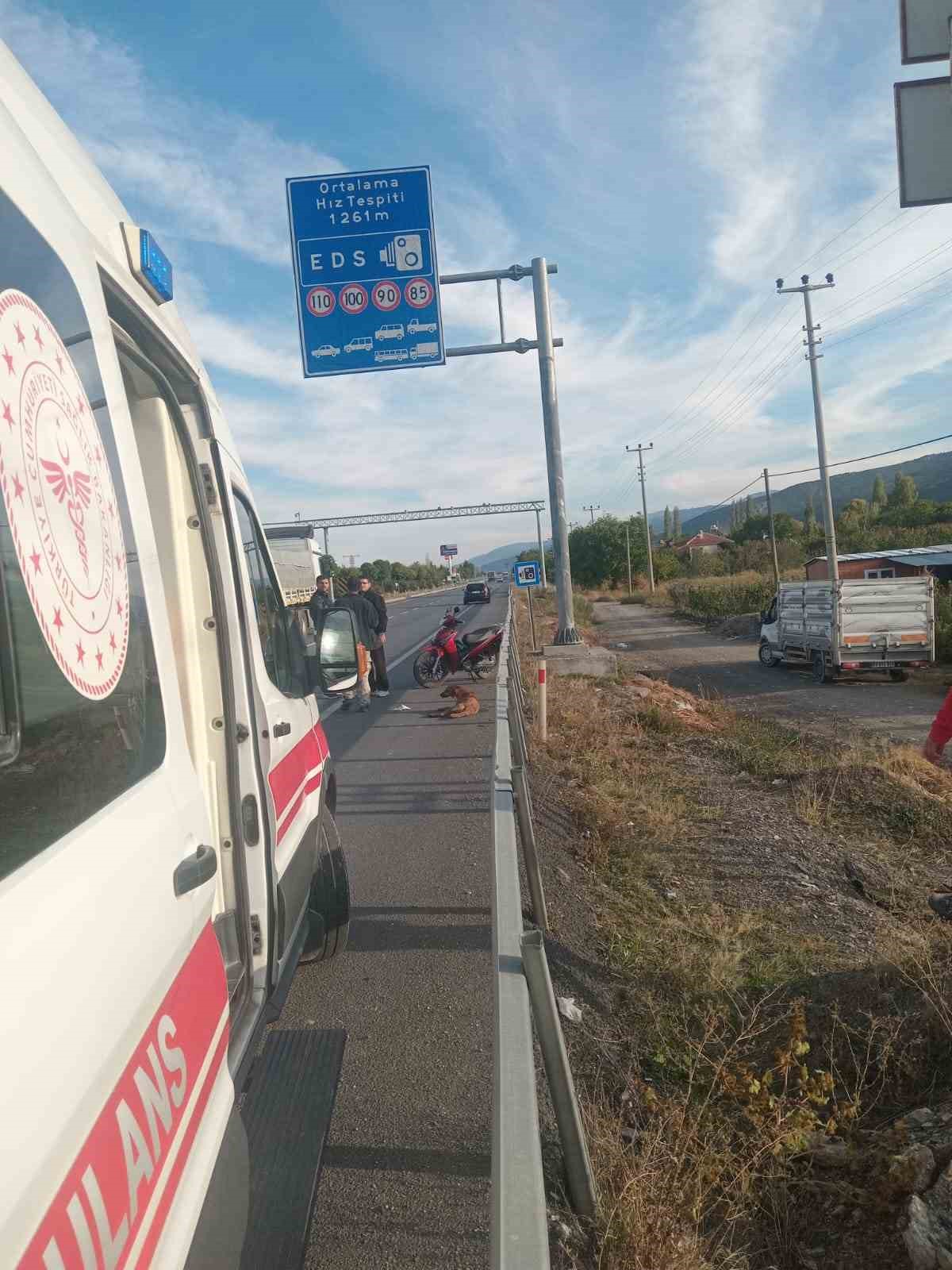 Köpeğe çarpmamak için manevra yapınca bariyerlere çarpıp yaralandı