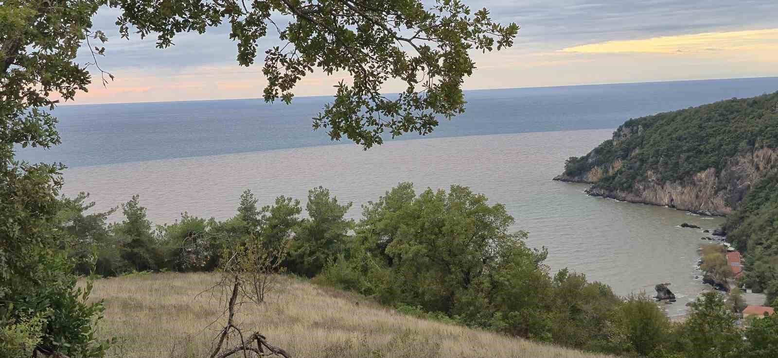 Denizin rengi değişti, plaja tıbbi atıklar vurdu