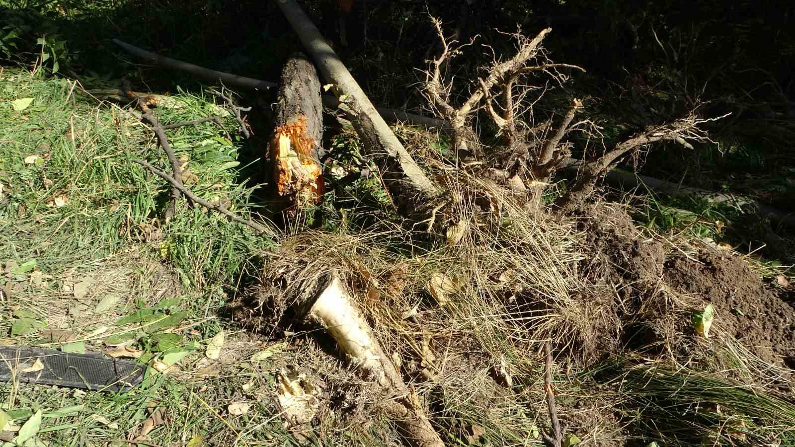 Kontrolden &ccedil;ıkan otomobil bah&ccedil;eye u&ccedil;tu: 1 ağır yaralı
