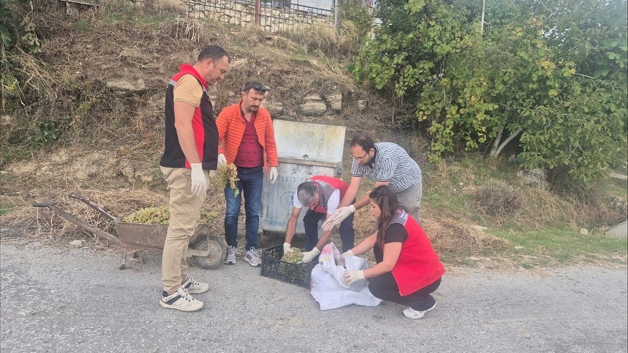 Muğla&rsquo;da hasat &ouml;ncesi denetimlerde yasaklı maddeye ge&ccedil;it yok
