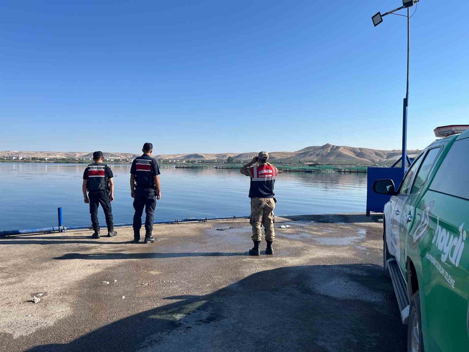 Jandarmadan avlak alanlarda denetim