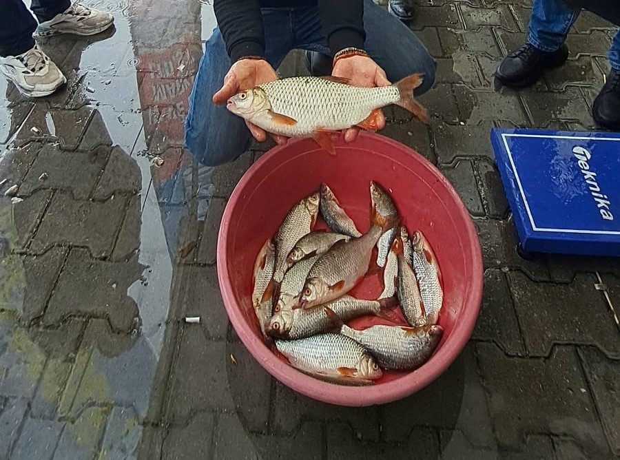 Sapanca Gölü’nde kızılkanat heyecanı: Amatör balıkçılar kıyasıya yarıştı
